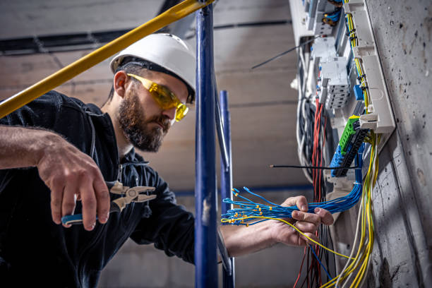 Best Electric Panel Repair  in Sunset Hills, MO